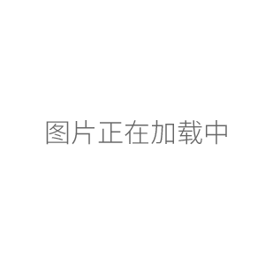 上海标本模型厂数显恒速强力电动搅拌机JB300-SH